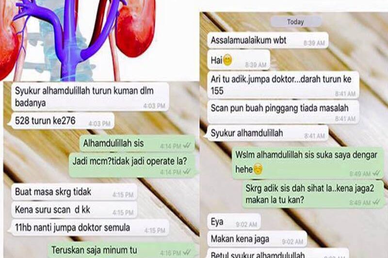 Manfaat Vivix Shaklee untuk Kesihatan Buah Pinggang