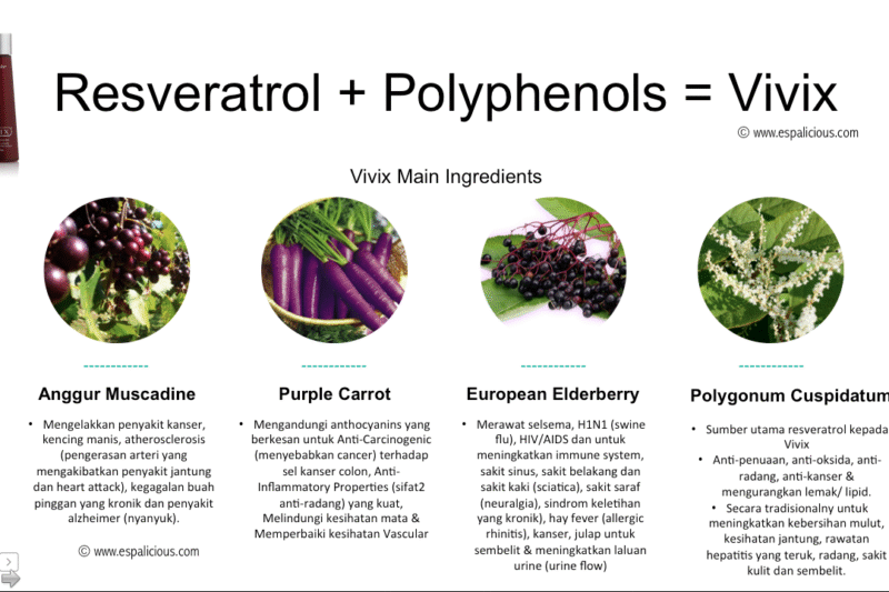 Ramuan Utama Vivix Shaklee: Kunci Rahsia Panjang Umur dan Sel Sihat yang Anda Wajib Tahu!