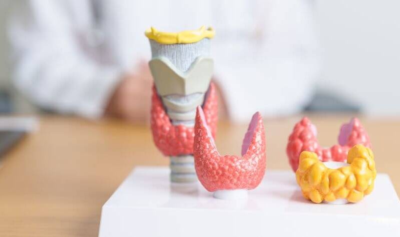 Hipertiroid Penyebab Masalah Jantung: Panduan Lengkap Risiko, Rawatan & Kajian Terkini