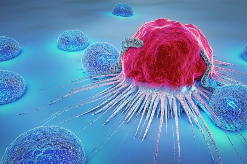 Pesakit Kanser dalam Rawatan – Panduan Lengkap Penjagaan Holistik dan Sains Resveratrol