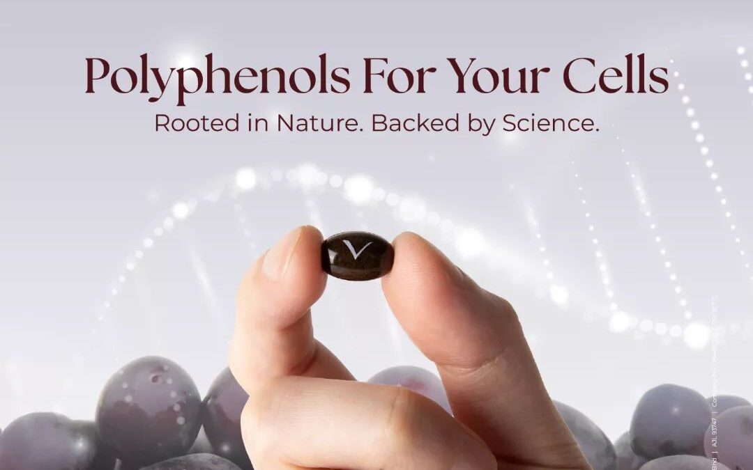 transformasi selular